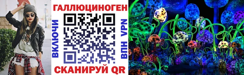 blacksprut как войти  Мамадыш  Псилоцибиновые грибы Magic Shrooms  где продают  